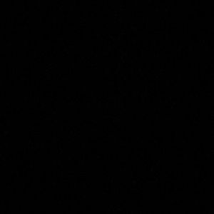 Meet your Posher, Naomi